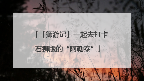 「狮游记」一起去打卡石狮版的“阿勒泰”