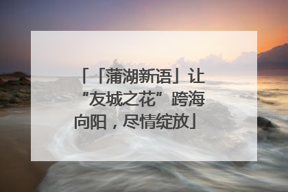 「蒲湖新语」让“友城之花”跨海向阳，尽情绽放