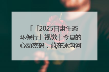 「2025甘肃生态环保行」视觉｜今夏的心动密码，藏在冰沟河的潋滟波光里