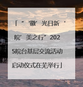 “‘徽’光日新‘皖’美之行”2025皖台基层交流活动启动仪式在芜举行