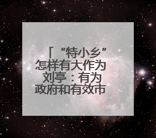 “特小乡”怎样有大作为 刘亭：有为政府和有效市场相向发力