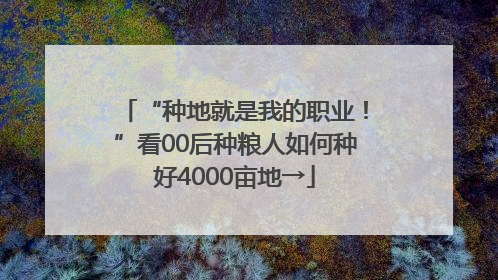 “种地就是我的职业！”看00后种粮人如何种好4000亩地→
