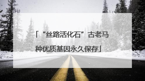“丝路活化石”古老马种优质基因永久保存