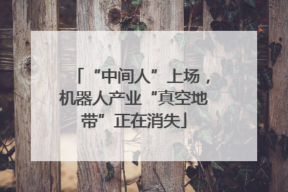 “中间人”上场，机器人产业“真空地带”正在消失