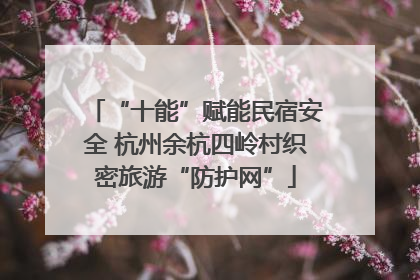 “十能”赋能民宿安全 杭州余杭四岭村织密旅游“防护网”