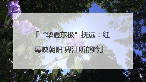 “华夏东极”抚远：红莓映朝阳 界江听熊吟