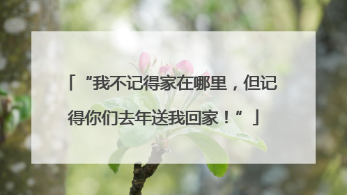 “我不记得家在哪里，但记得你们去年送我回家！”
