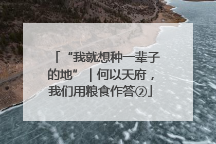 “我就想种一辈子的地”｜何以天府，我们用粮食作答②