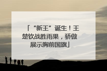 “新王”诞生！王楚钦战胜雨果，骄傲展示胸前国旗
