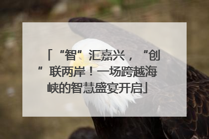 “智”汇嘉兴，“创”联两岸！一场跨越海峡的智慧盛宴开启