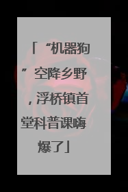 “机器狗”空降乡野，浮桥镇首堂科普课嗨爆了