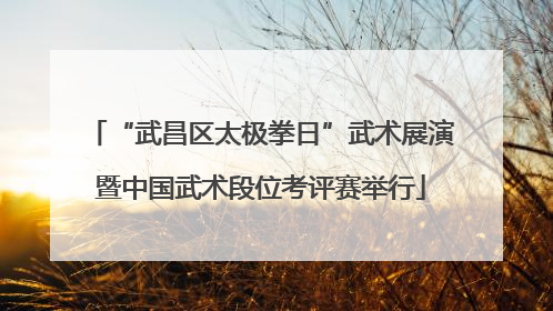 “武昌区太极拳日”武术展演暨中国武术段位考评赛举行