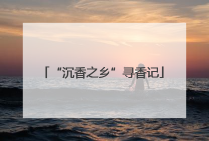 “沉香之乡”寻香记