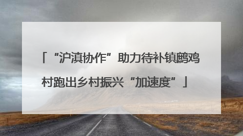 “沪滇协作”助力待补镇鹧鸡村跑出乡村振兴“加速度”