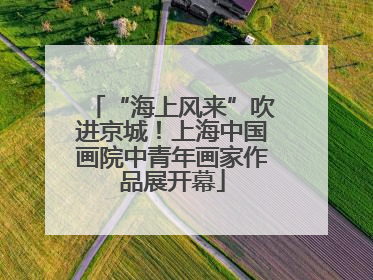 “海上风来”吹进京城！上海中国画院中青年画家作品展开幕