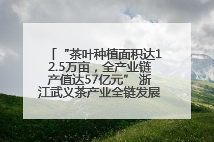 “茶叶种植面积达12.5万亩，全产业链产值达57亿元” 浙江武义茶产业全链发展“加速度”