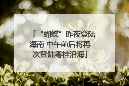 “蝴蝶”昨夜登陆海南 中午前后将再次登陆粤桂沿海