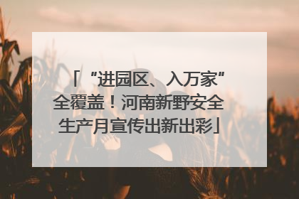 “进园区、入万家”全覆盖！河南新野安全生产月宣传出新出彩
