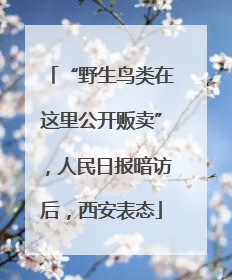 “野生鸟类在这里公开贩卖”，人民日报暗访后，西安表态