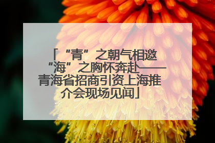 “青”之朝气相邀 “海”之胸怀奔赴——青海省招商引资上海推介会现场见闻