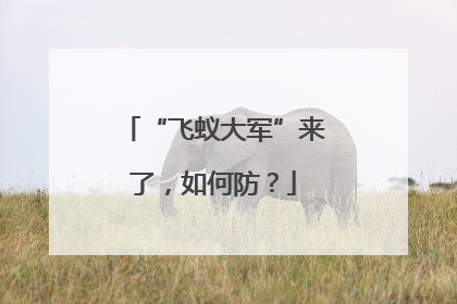 “飞蚁大军”来了，如何防？