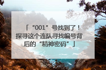 “001”号找到了！探寻这个连队寻找编号背后的“精神密码”