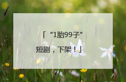 “1胎99子”短剧，下架！