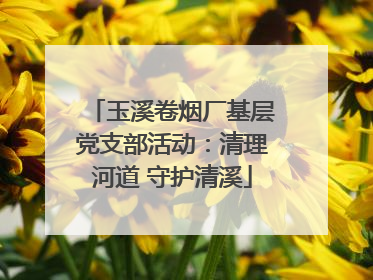 玉溪卷烟厂基层党支部活动：清理河道 守护清溪