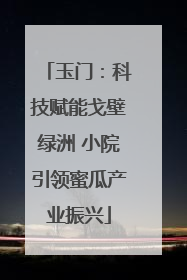玉门：科技赋能戈壁绿洲 小院引领蜜瓜产业振兴