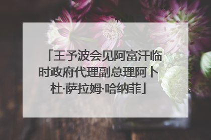 王予波会见阿富汗临时政府代理副总理阿卜杜·萨拉姆·哈纳菲