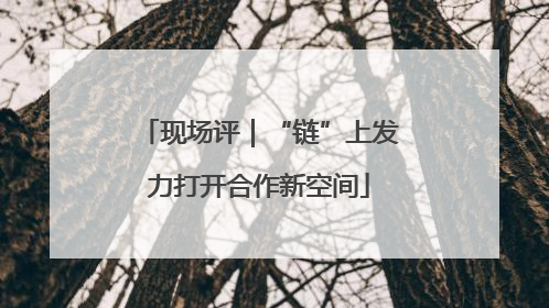现场评｜“链”上发力打开合作新空间