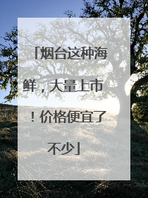 烟台这种海鲜，大量上市！价格便宜了不少