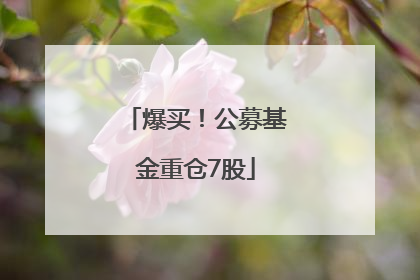 爆买！公募基金重仓7股