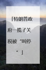特朗普政府一揽子关税被“叫停”