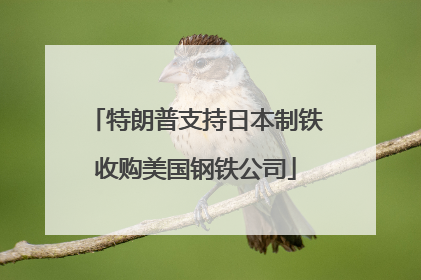 特朗普支持日本制铁收购美国钢铁公司