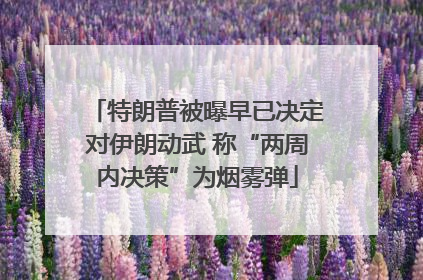 特朗普被曝早已决定对伊朗动武 称“两周内决策”为烟雾弹