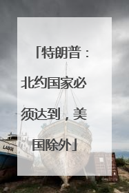 特朗普：北约国家必须达到，美国除外