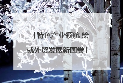 特色产业领航 绘就外贸发展新画卷