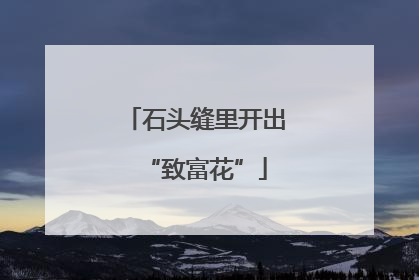 石头缝里开出“致富花”