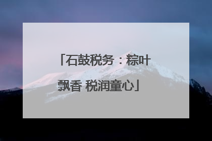 石鼓税务：粽叶飘香 税润童心