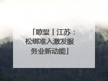 瞭望丨江苏：松绑准入激发服务业新动能