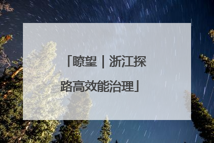 瞭望｜浙江探路高效能治理