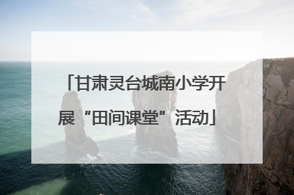 甘肃灵台城南小学开展“田间课堂”活动