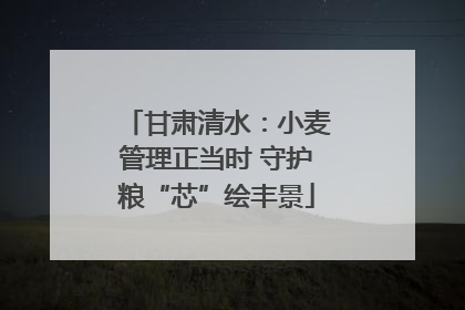 甘肃清水：小麦管理正当时 守护粮“芯”绘丰景
