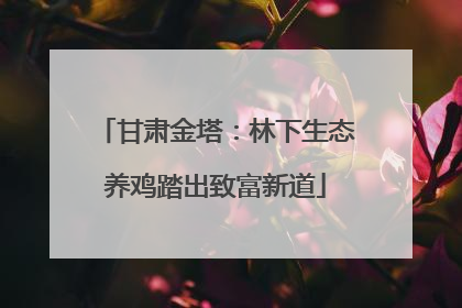 甘肃金塔：林下生态养鸡踏出致富新道