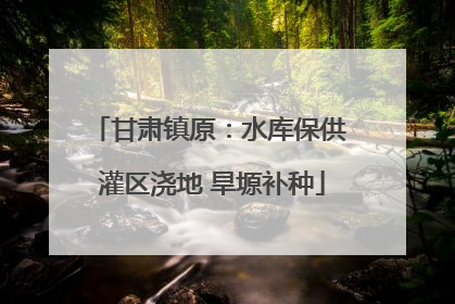 甘肃镇原：水库保供 灌区浇地 旱塬补种