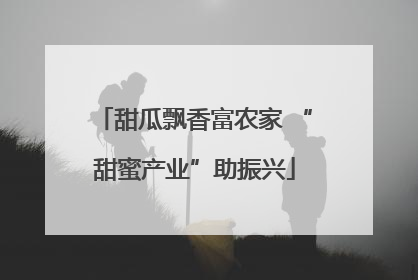 甜瓜飘香富农家 “甜蜜产业”助振兴