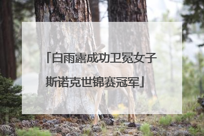 白雨露成功卫冕女子斯诺克世锦赛冠军