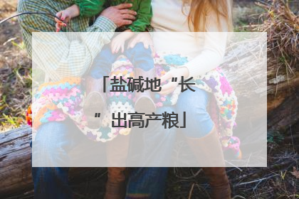 盐碱地“长”出高产粮