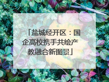 盐城经开区：国企高校携手共绘产教融合新图景